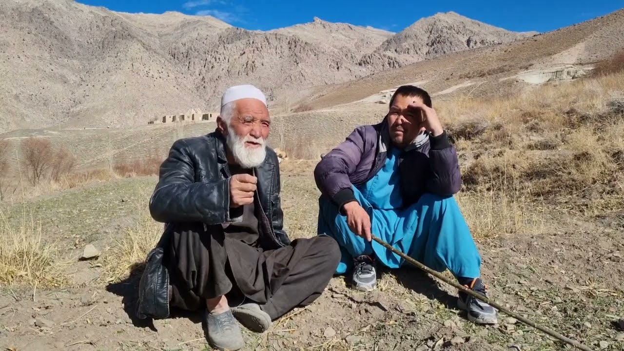 به همکاری نیازمند شدیم