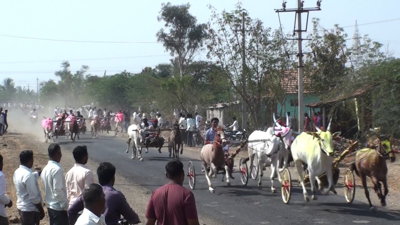 Horse and Bull Cart Race Kerur. part 1 .घोडा बैल गाडीचा शर्यत.Pferd Ochsenkarren Rennen.