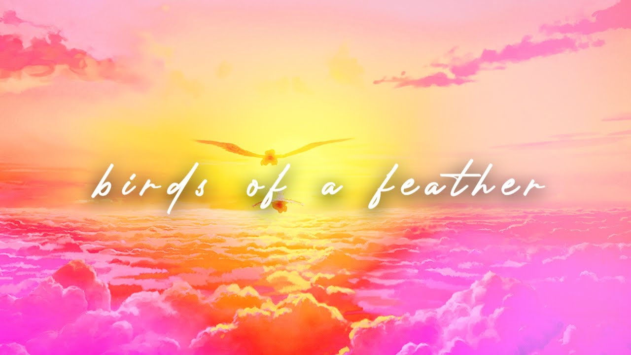 rayllum - birds of a feather