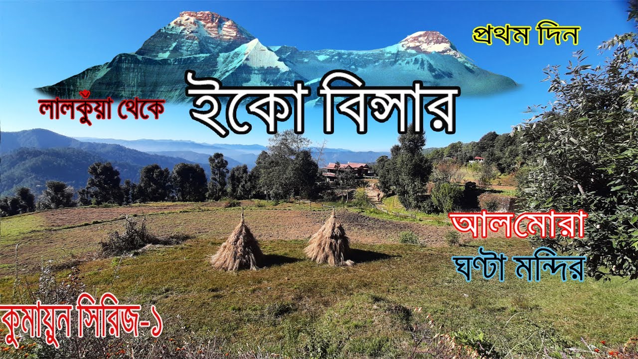 Binsar || Eco Binsar || বিনসারে কি কি দেখবেন || Maa Anandamayee Guest House ||Almora | Part 1/7