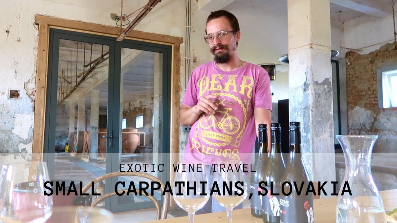 Exotic Wine Travel in the Small Carpathians (Slovakia)