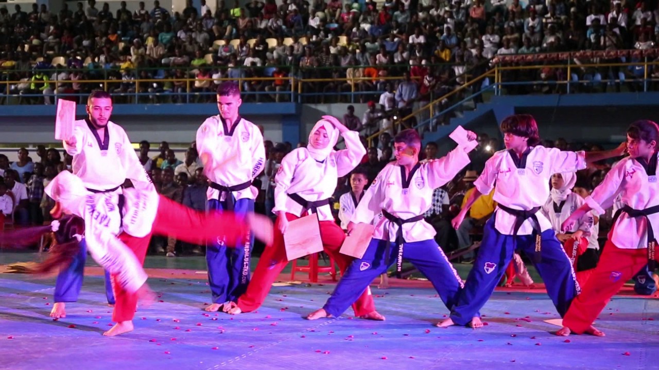 ittihad tanger andalus de taekwondo (GRANDE NUIT DES ARTS MARTIAUX) Gabon 26mars2017