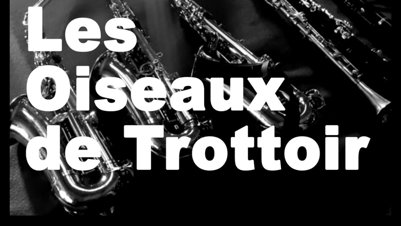 Les Oiseaux de trottoir - Le Hors-la-Vie - Carte Postale de Tournée Ardèche-Drôme