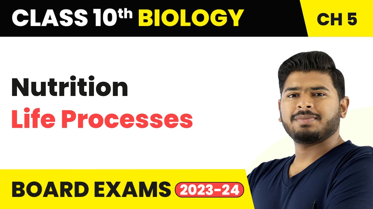 Nutrition - Life Processes | Class 10 Science Chapter 5