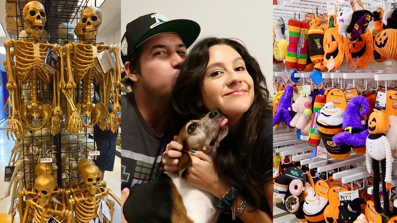 The Spooky Shopping Channel is Official!🎃 Halloween for Pets + Party City, Target, Homegoods & More