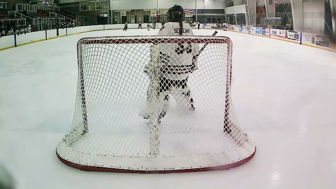 Nepean Wildcats U18AA vs Ontario Hockey Academy - Visitor Net