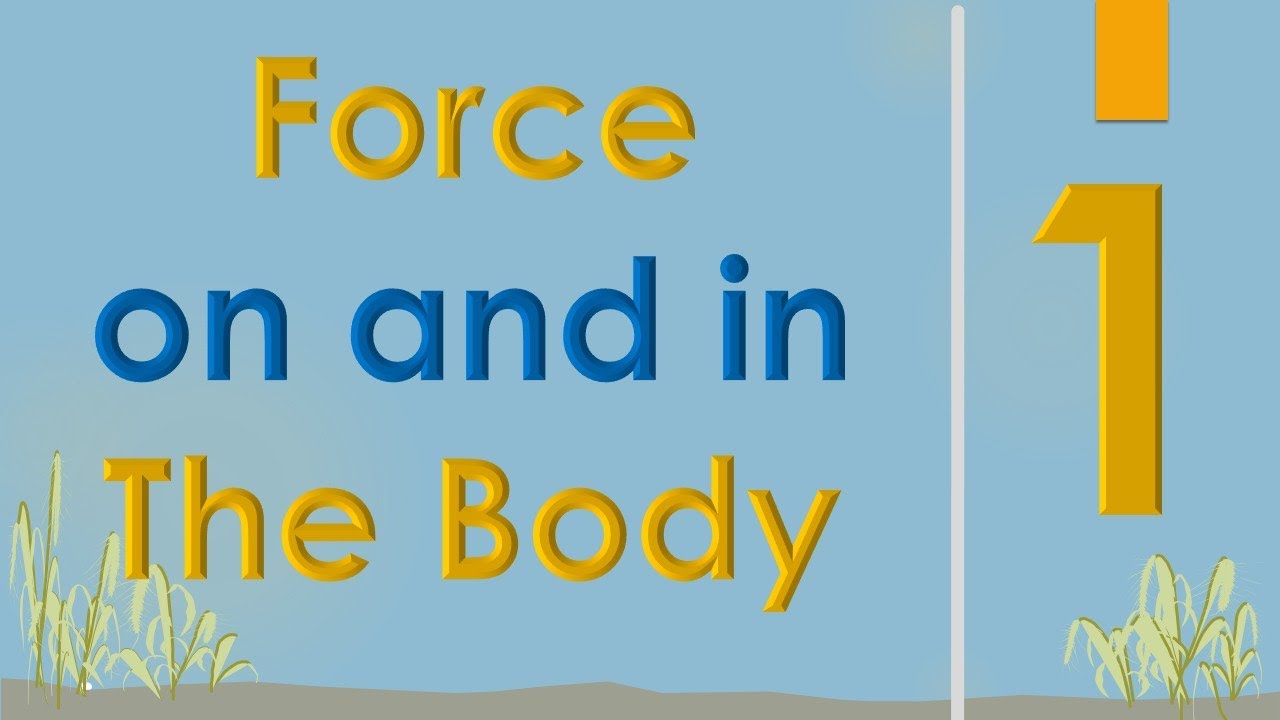 Forces affecting The Human Body (1/3) || Medical Physics || سنة أولى طب || M000 || [18/20]