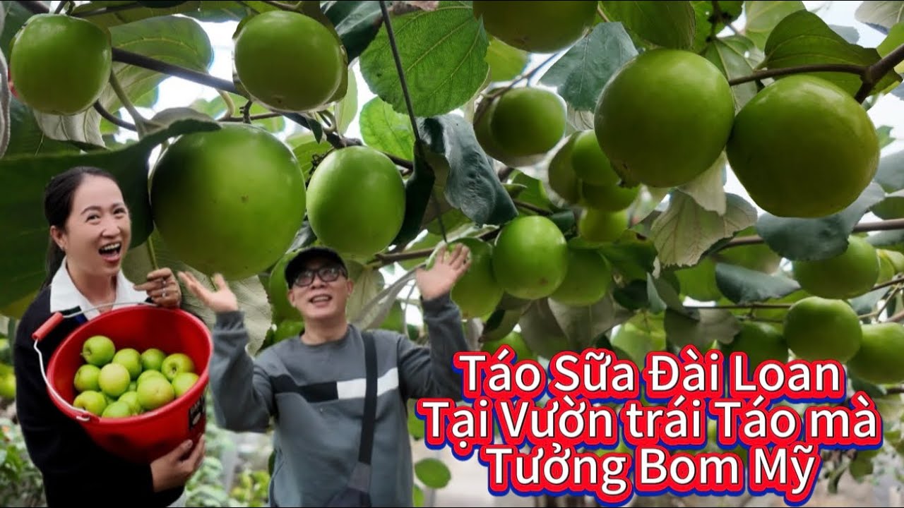 Trong ngày nghỉ, người Đài Loan thường dành thời gian đi dã ngoại, tham quan các địa điểm du lịch