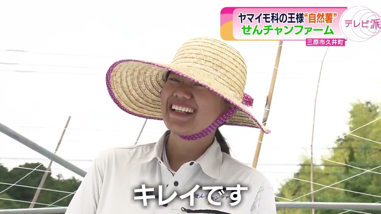 【自然薯】ヤマイモ科の王様せんチャンファーム