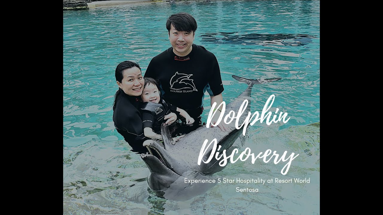 Dolphin Discovery + S.E.A Aquarium VIP Experience at Resort World Sentosa Singapore