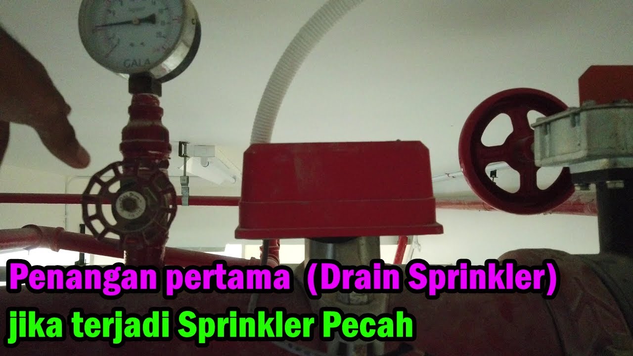 Penanganan pertama jika seprinkler pecah Drain Sprinkler