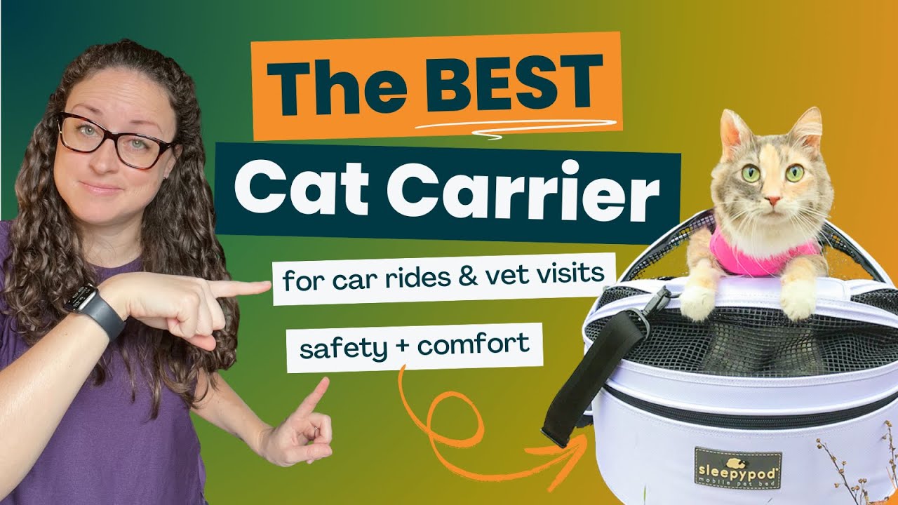 Sleepypod Mobile Pet Bed  - Cat Carrier Review