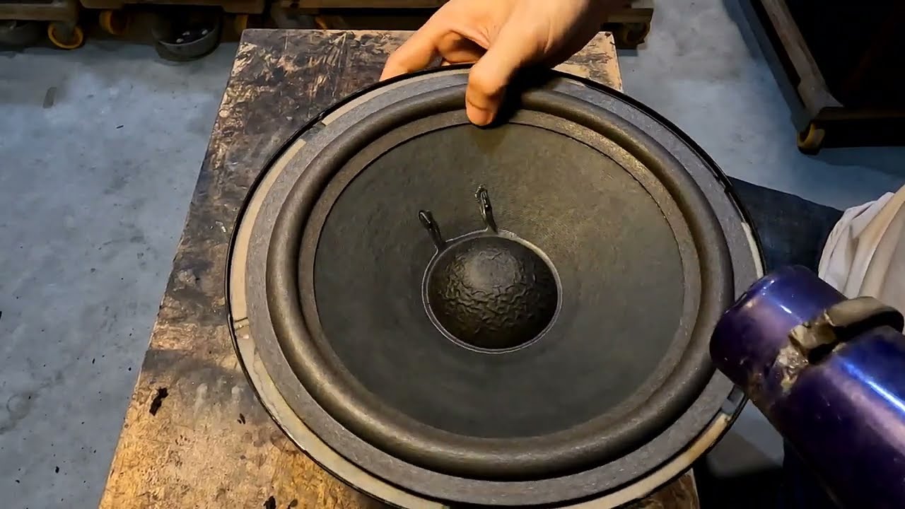 thay gân loa BMB 450c