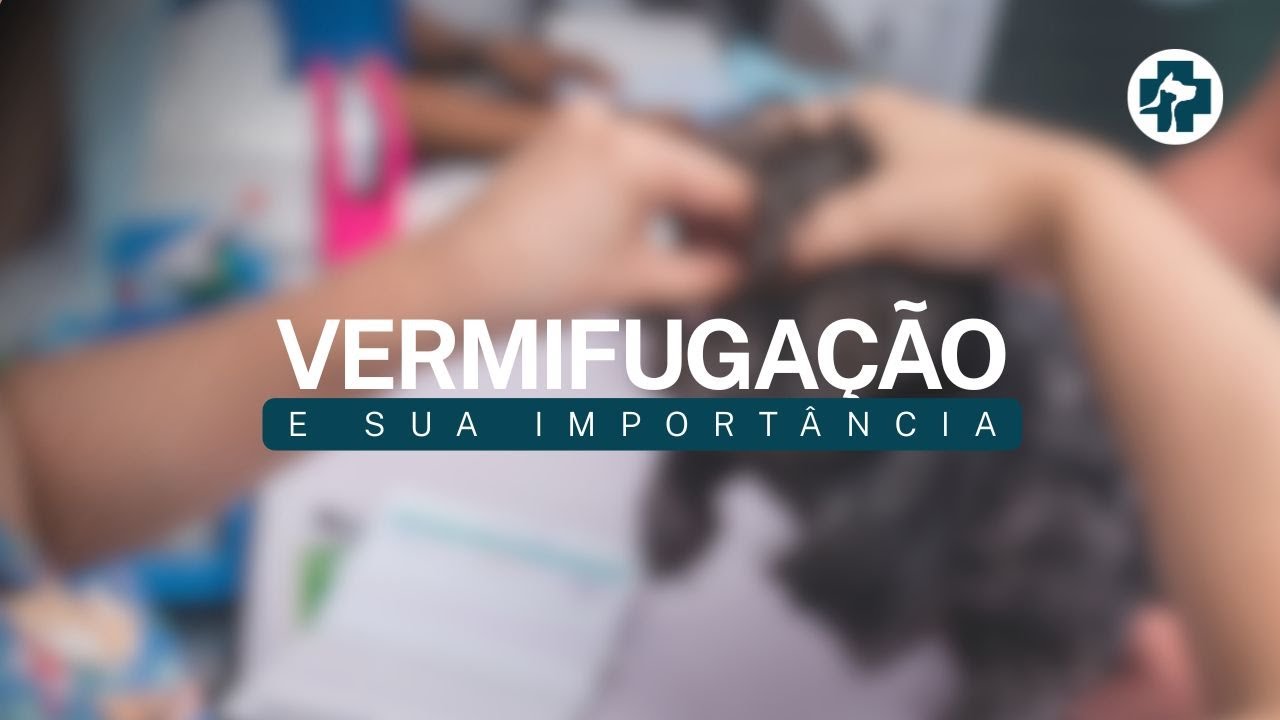 A importância da vermifugação para o seu PET