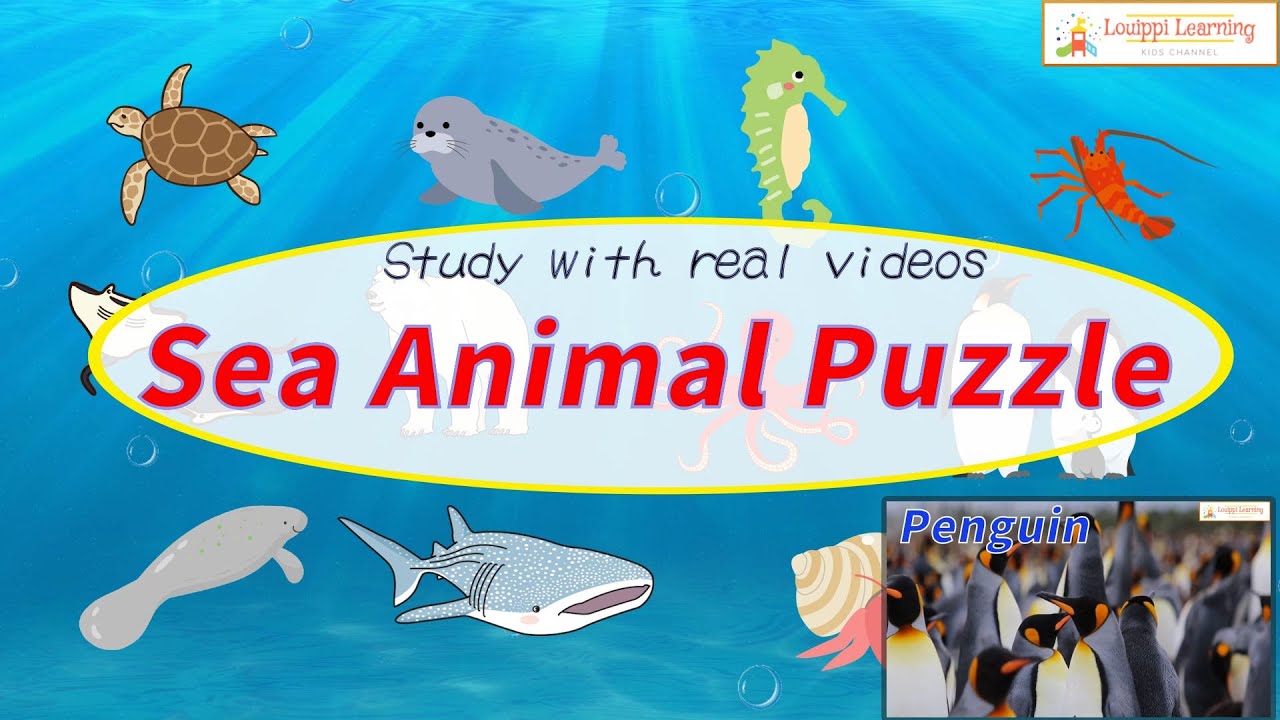 [English] うみのいきもの パズル ＆ 実写動画 12種4  フラッシュカード 動画 海の生き物 を英語で覚えよう Sea animals Flashcard video