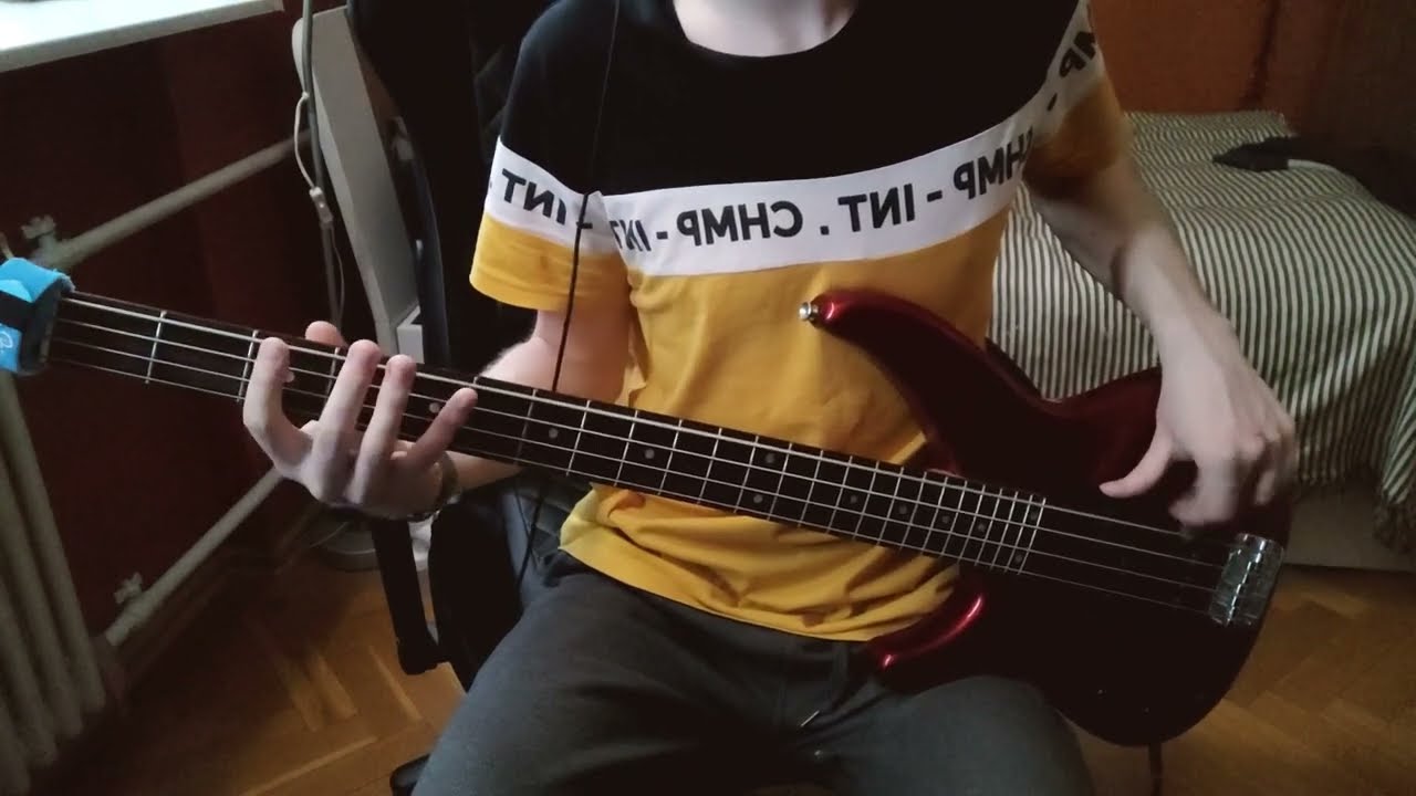 Rammstein - Zwitter (Bass Cover)