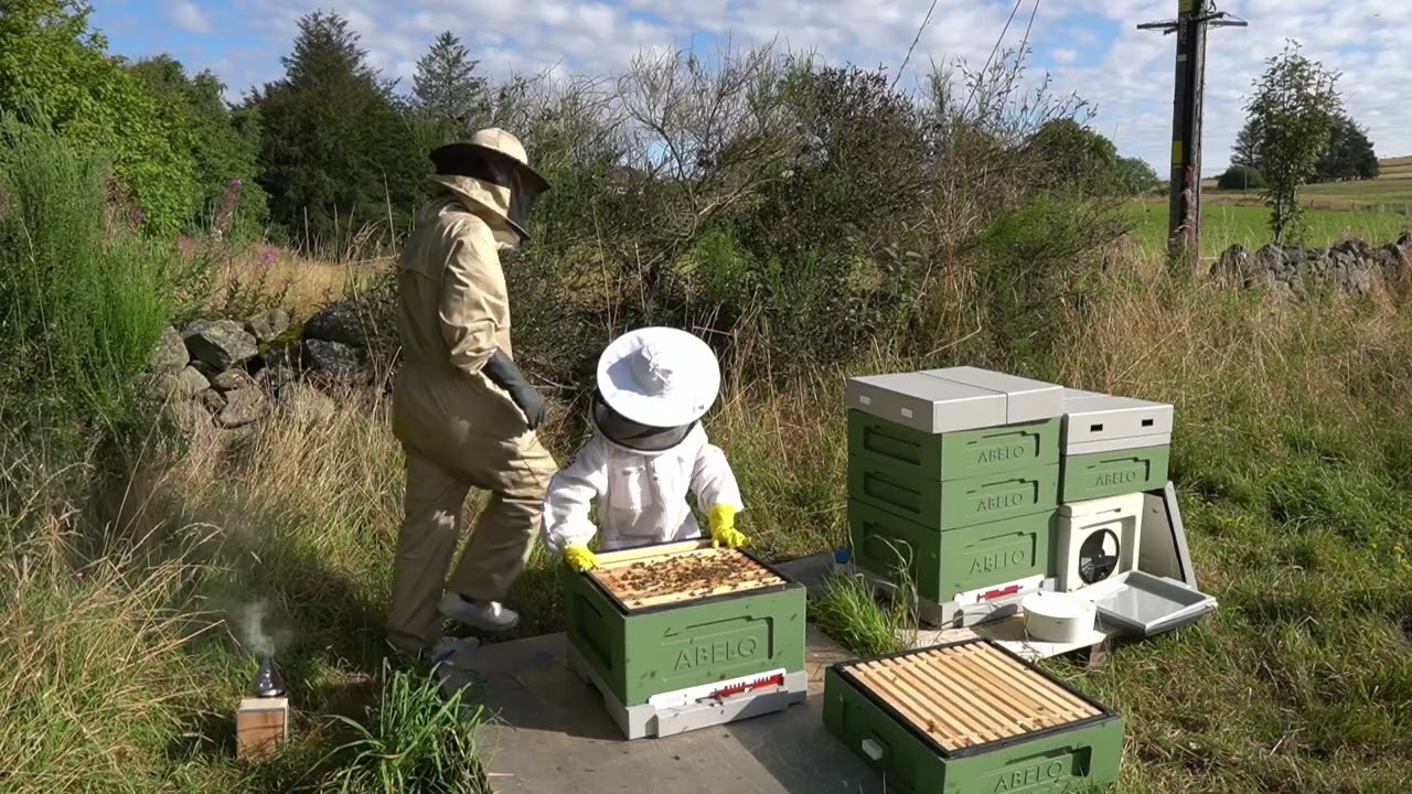 First preparations for winter | Becoming a Beekeeper | Episode 14