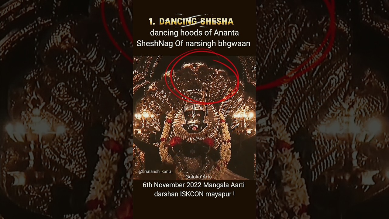 some miracles from ISKCON mayapur vigrha ! #iskcon #harekrishna #hindudeity #miracle