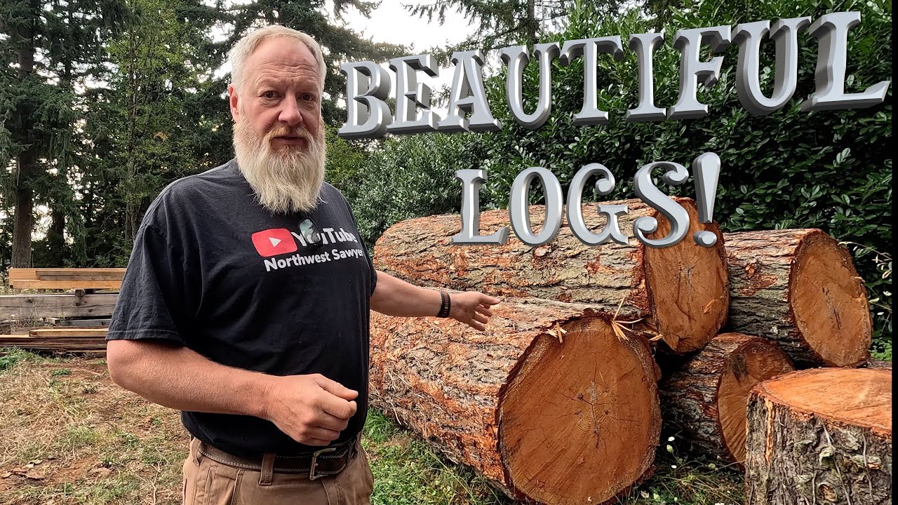 TRADING Slabs For LOGS!