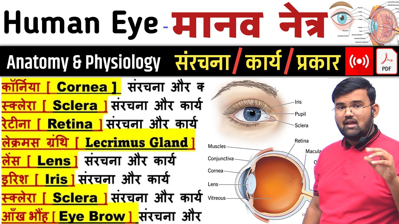 Human Eye | मानव नेत्र | Eye | Eye anatomy | Eye physiology | Sclera | Cornea | Eye Structure