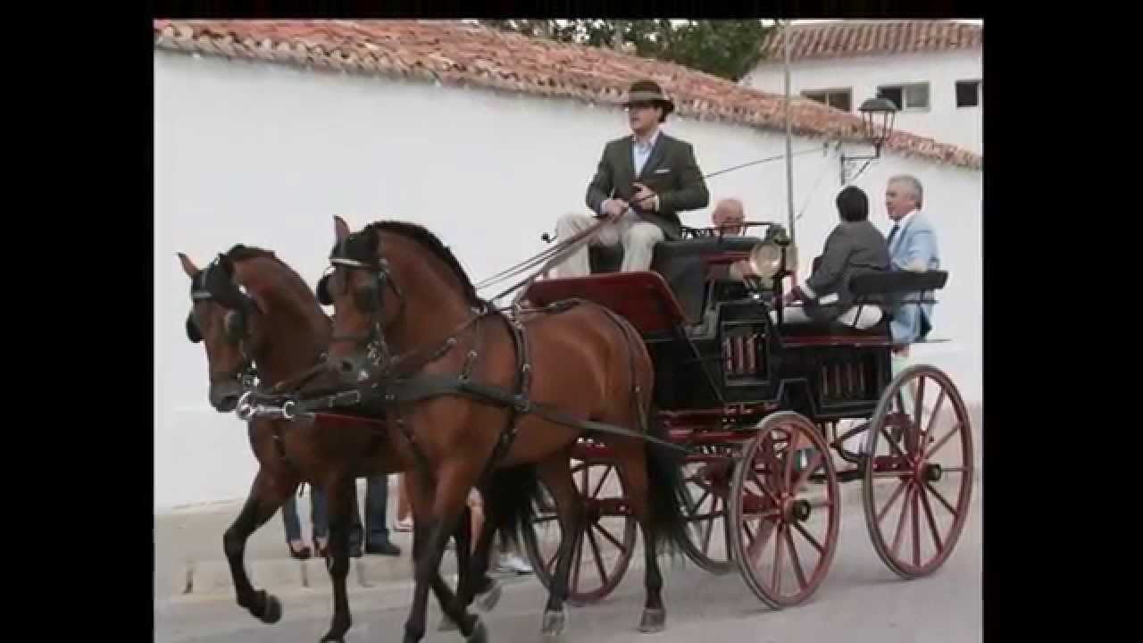 FERIA ALBACETE 2010 CABALLOS HD