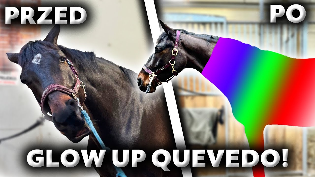 VLOG Z TYGODNIA 🩷 | Quevedo przeszedł GLOW UP🐴 | Teren w piękny dzień 🌲| Wizyta w stajni Iskra 🐎
