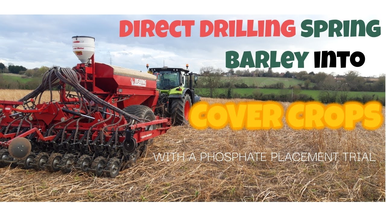Drilling into Cover Crops #farming