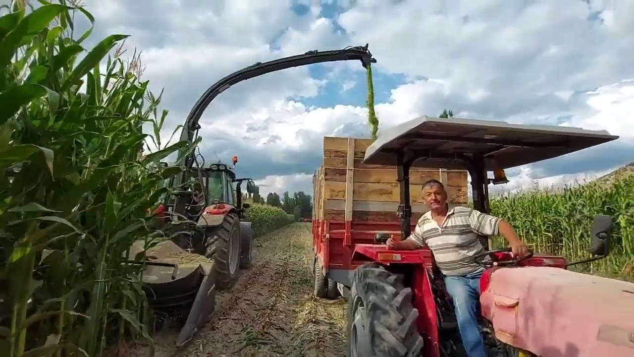 DEP CELIKEL Challenger 3 Forage Harvetester , 2.10 Meter Cutting width