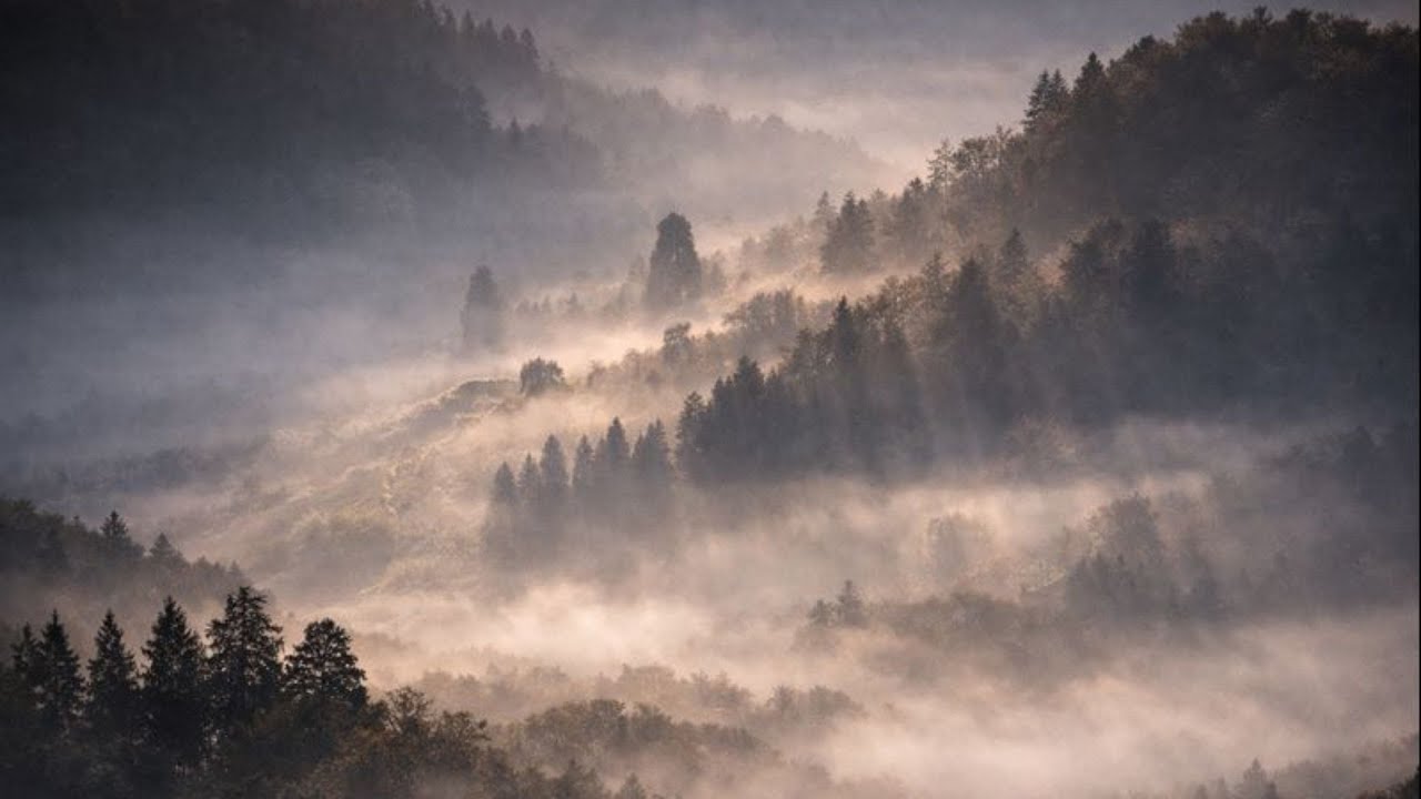 Japanese Ambient BGM for Quiet Contemplation | Misty Dawn Soundscape