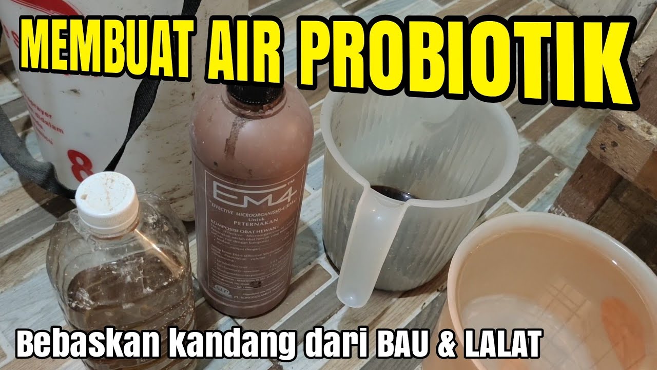 Air Probiotik Ini Bisa Bebaskan Kandang Dari BAU dan LALAT