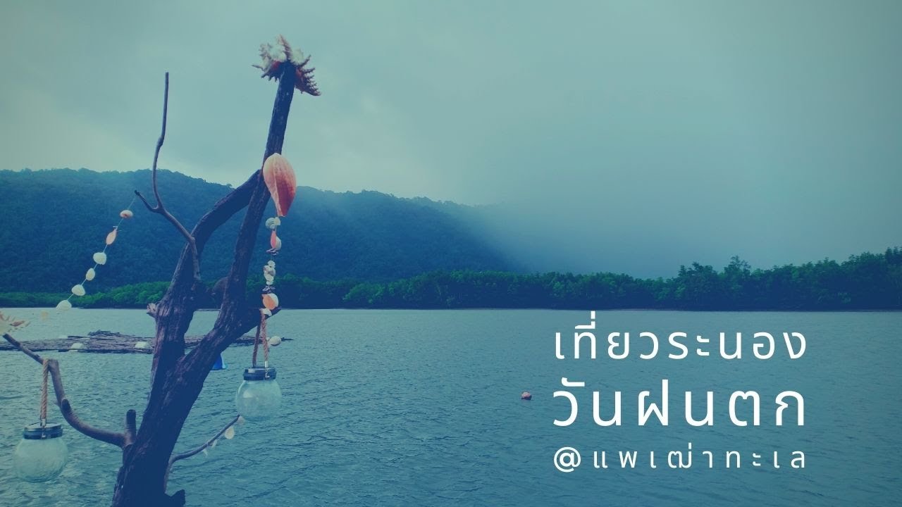 ระนอง เที่ยว แพเฒ่าทะเล ป่าโกงกาง เที่ยวอันดามันทะเลไทย