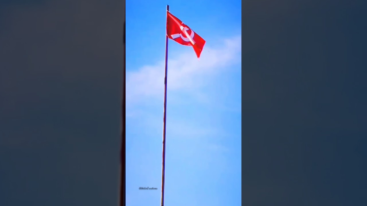 LDF election promo video