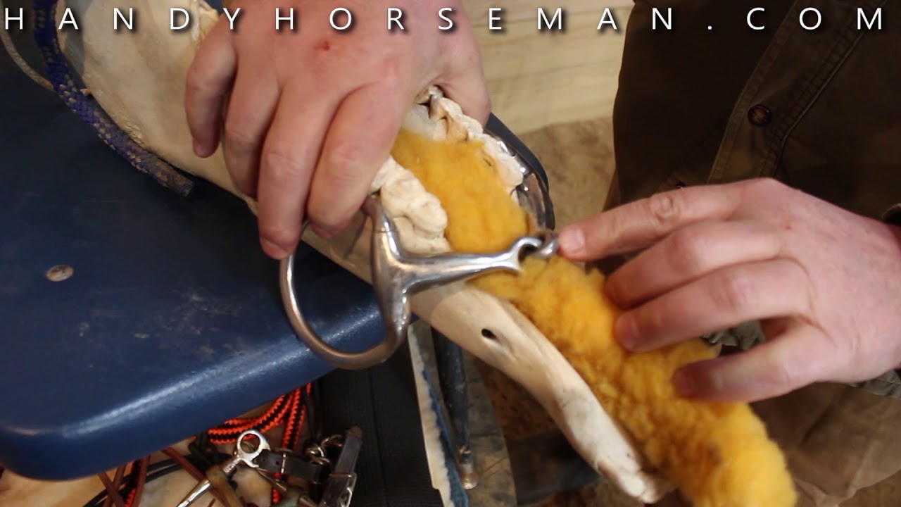 The Best Horse Bits: Reasons Behind the Three Piece Soft Touch Bit Design