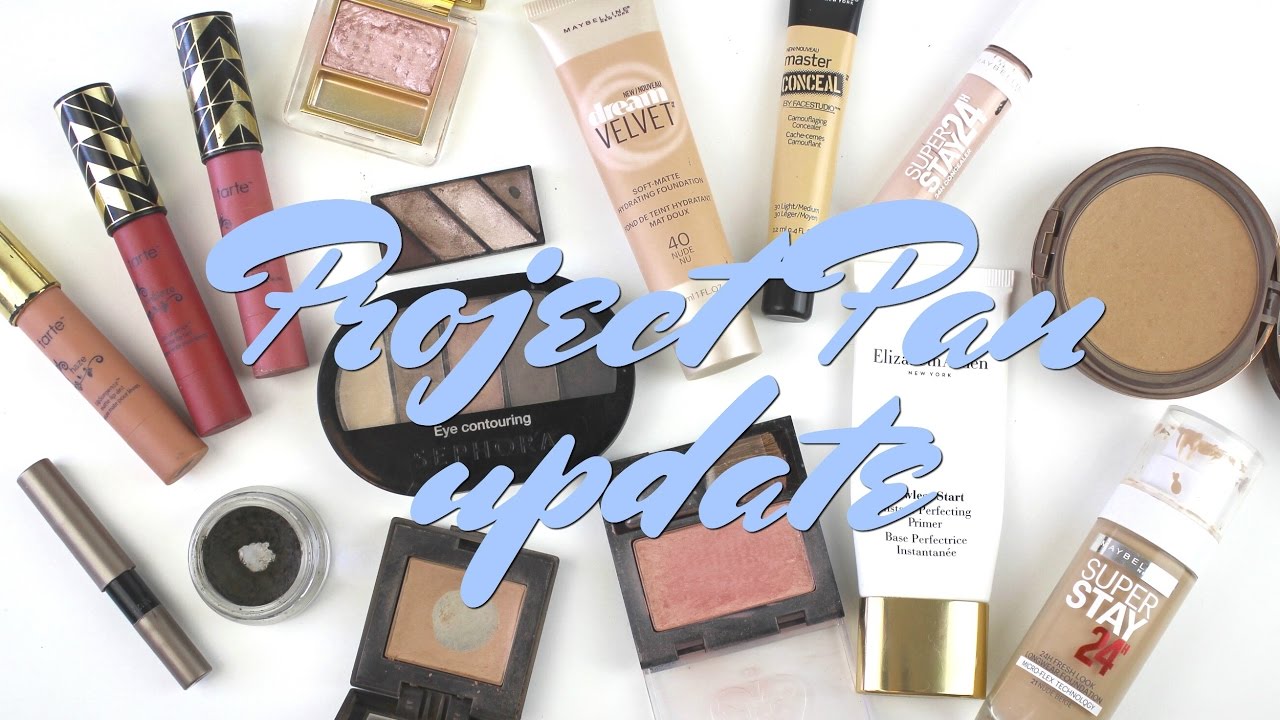 Project Pan update #1 2017