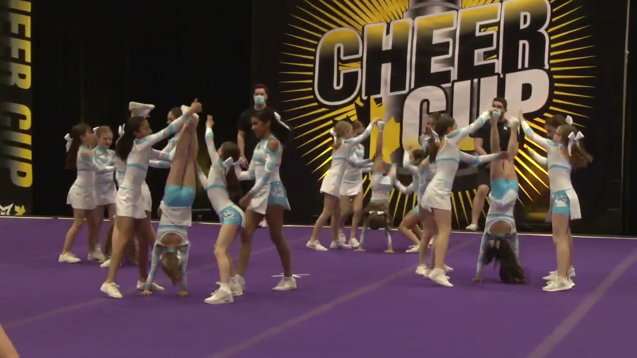 Fierce Pack - Coyotes