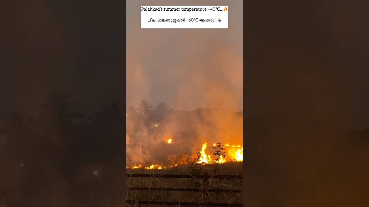 🥲.  #trendingshorts #palakkad #summer #weather #shorts #trendingvideo #kerala #fire