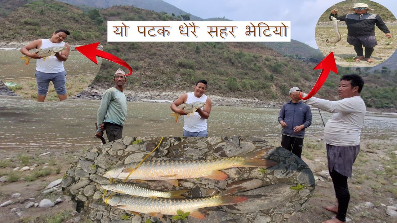 sahar maxa yo patak dherai samatiyo | सुनकोसीमा सहर माछा समात्दै | golden mahseer caught || fishing