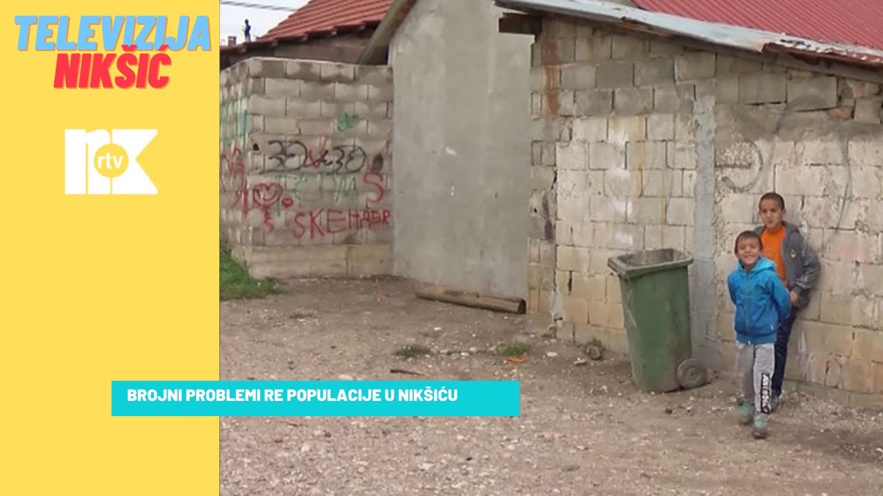 BROJNI PROBLEMI RE POPULACIJE U NIKŠIĆU