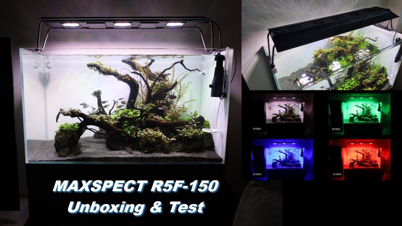 Maxspect RSX R5F-150 Lampa do akwarium słodkowodnego  Unboxing & Test