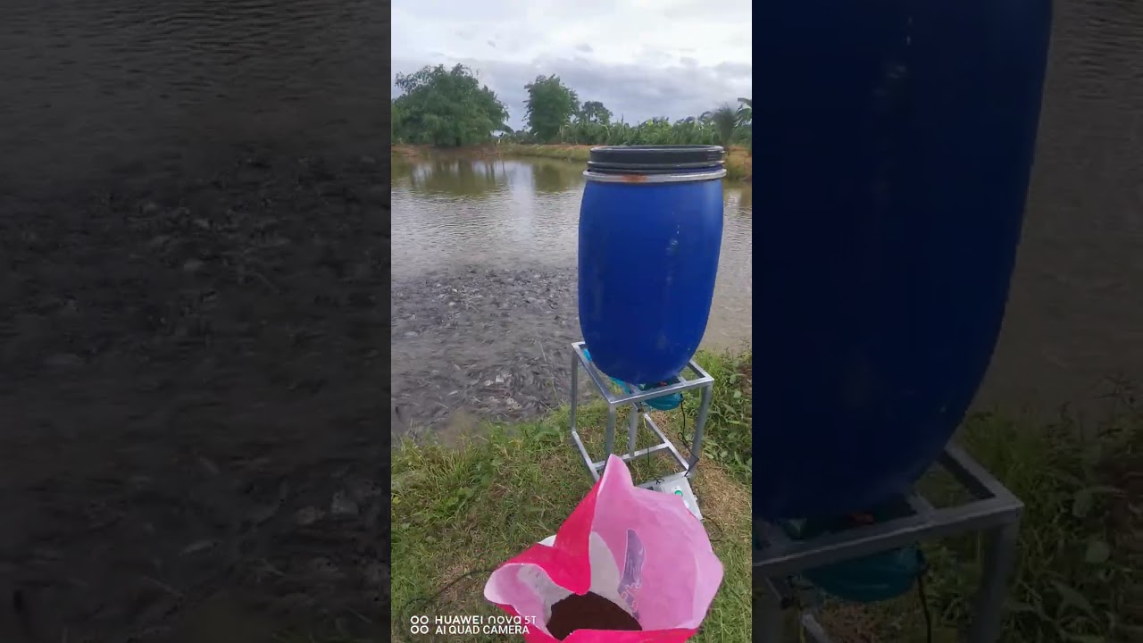 #เครื่องให้อาหารปลาอัตโนมัติ​  #fishfeeder​