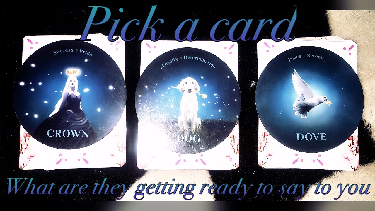🥰💭❤️What are they getting ready to say to you❤️Pick a card❤️Timeless Tarot Reading