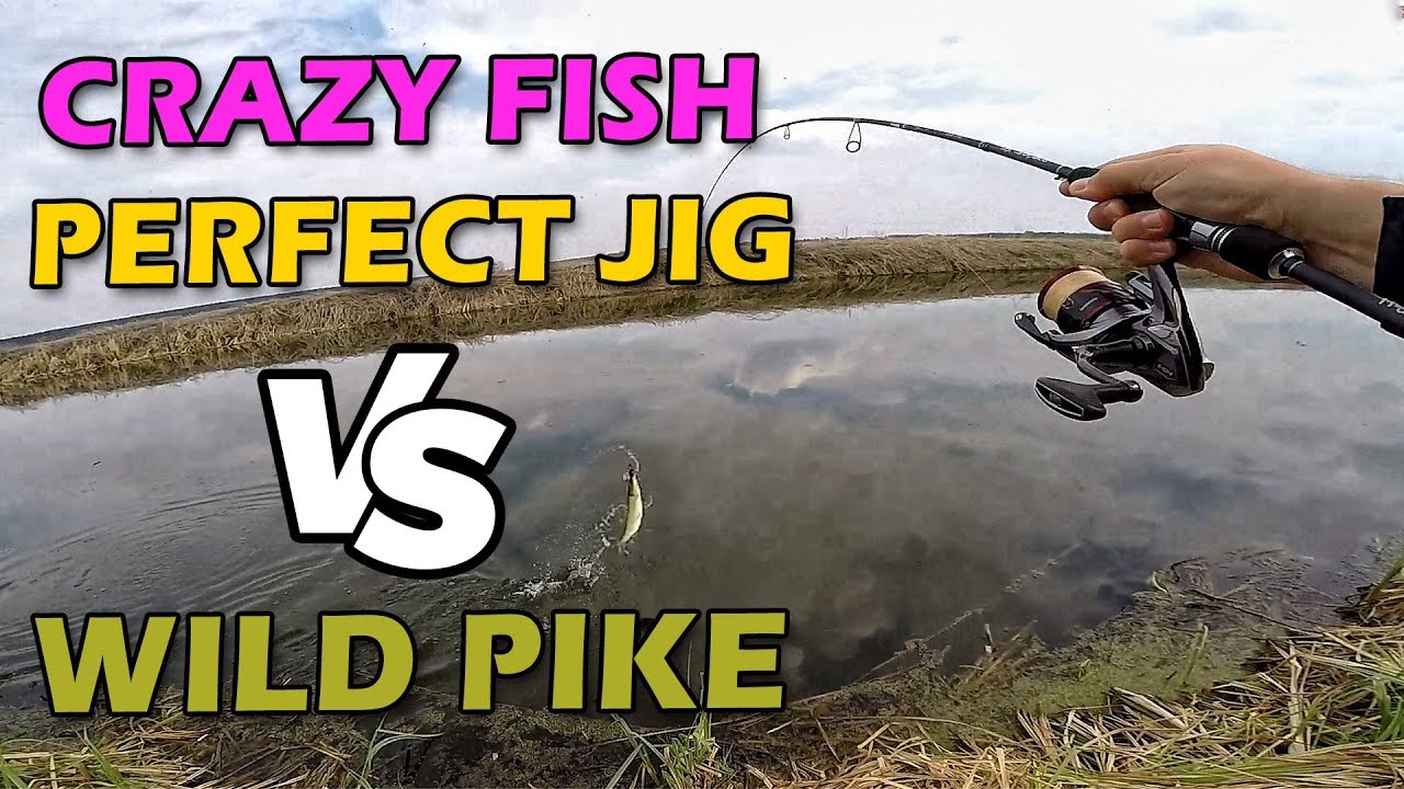 БЕЗУПРЕЧНЫЙ ДЖИГ и РЫБАЛКА НА ЩУКУ 2019 после нереста! Тест спиннинга Crazy Fish Perfect JIG 76-L-T