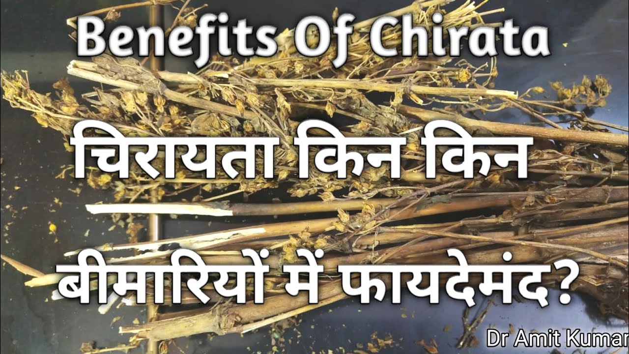 Benefits Of Chirata | चिरायता किन किन बीमारियों में फायदेमंद ? चिरायता के फायदे |
