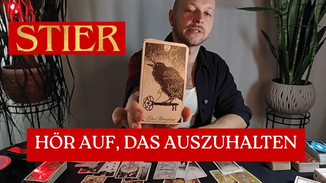 STIER | es ist Zeit zu gehen