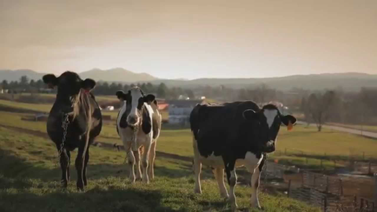 Behind the Taste EP2: All Natural. And All Delicious.