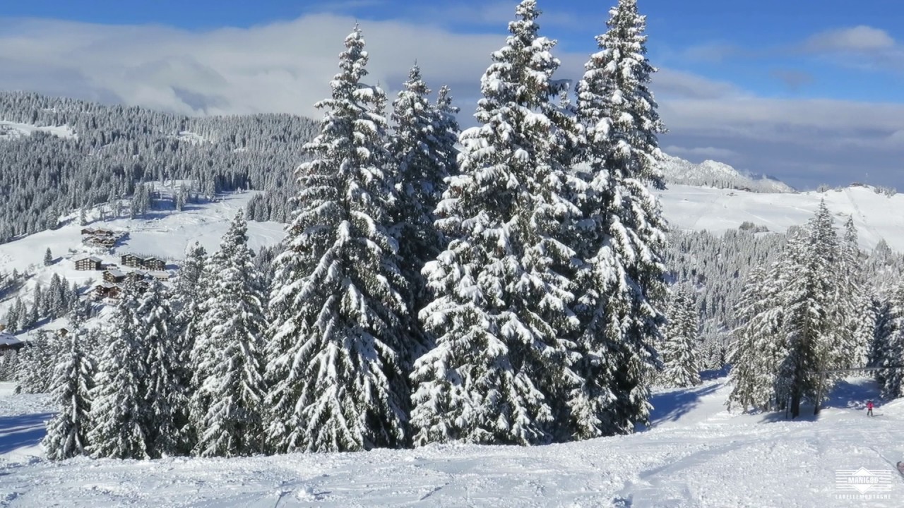 Les coulisses des pistes - le m&eacute;tier de chef de secteur