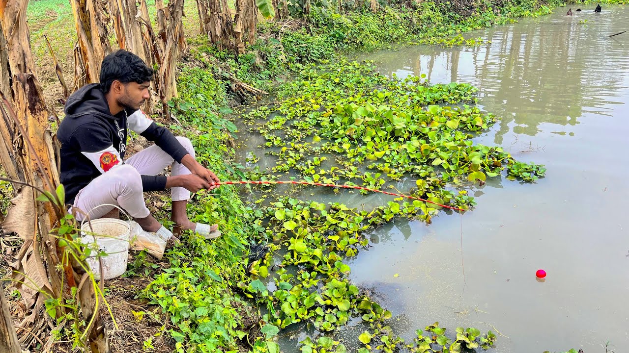 Fishing with a spear with bread on a winter morning video Hook Video Fr Village Fishing 