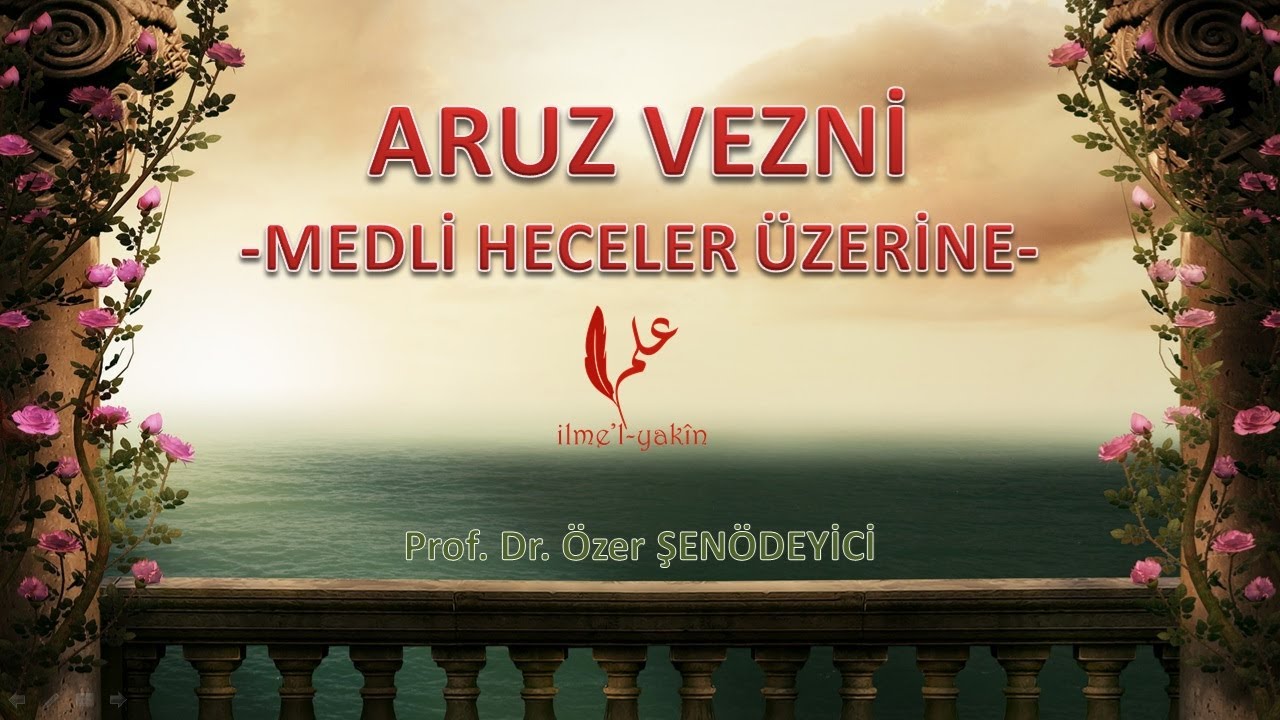 ARUZ VEZNİ (Medli Heceler Üzerine) - Prof. Dr. Özer ŞENÖDEYİCİ