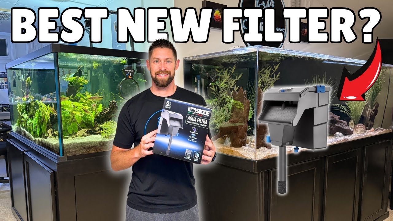 NEW Sicce Aqua Filtra HOB Filter | Unboxing, Setup & First Impressions!
