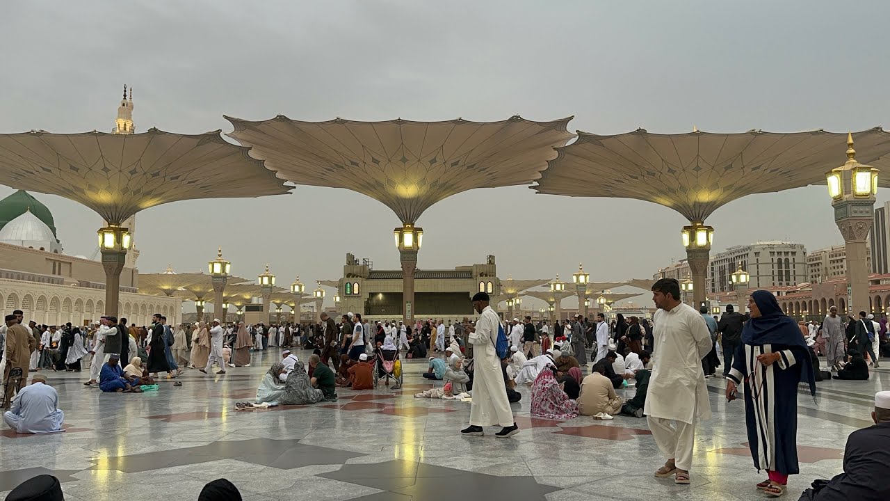 طمأنينة الساحات | المسجد النبوي